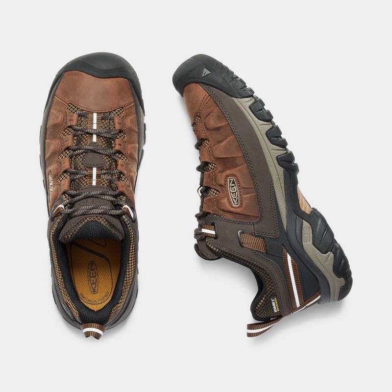 Zapatos Trekking Keen Targhee III Waterproof Para Hombre Marrom - Zapatos Keen Mexico (173250-IED)